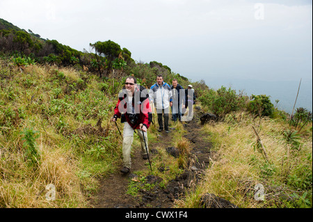 Gli escursionisti scalata del vulcano Nyiragongo, il Parco nazionale di Virunga, Repubblica Democratica del Congo Foto Stock
