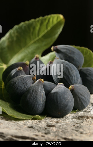 Immagine: Steve gara - Ripe Black figure (Ficus carica), Catalunya, Spagna. Foto Stock