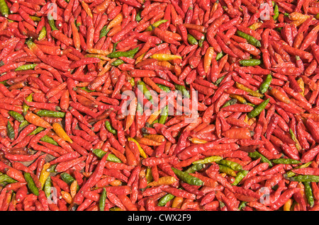 Peperoncini di Luang Prabang Laos Asia Foto Stock