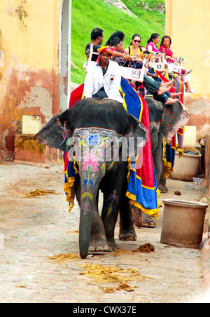 Gli elefanti e mahouts tenendo i turisti fino al forte amber vicino a Jaipur, India Foto Stock