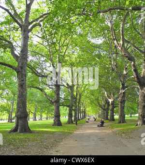 Parco verde vicino a Buckingham Palace è uno di Londra' Royal Parks solo uso editoriale Foto Stock