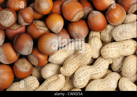 La consistenza naturale - close-up di noci e noccioline. Foto Stock