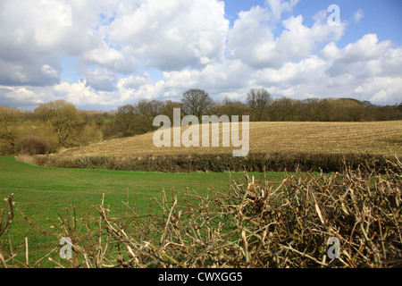 Stoppia nel campo con vista sulla campagna aperta vicino a. Church Lawton e Rode Heath Cheshire Inghilterra UK su un sole fine inverno primo giorno di primavera Foto Stock