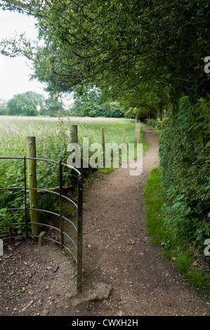 Un percorso che collega il prato per il Sandwalk a Down House La casa di Charles Darwin e dove egli ha voluto prendere una passeggiata quotidiana. Foto Stock