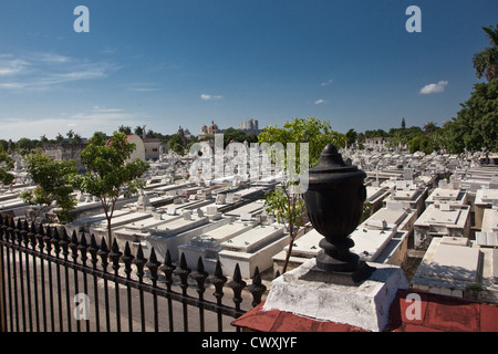 Il grande cimitero di Colon ora ospita i resti di quasi come molti come vivono i residenti nella Città dell Avana, Cuba. Foto Stock