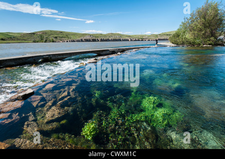 Giant Springs confluisce nel fiume Missouri a Giant Springs State Park, Great Falls, Montana. Foto Stock