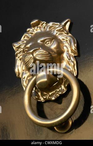 In prossimità di una porta di lion respingente ornamento maniglia Foto Stock