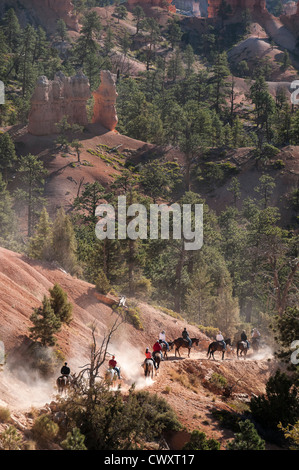 Cavalli sul Queens Garden Horse Trail, Sunrise Point, Parco Nazionale di Bryce Canyon, Utah. Foto Stock