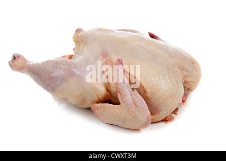 Un intero pollo crudo su sfondo bianco Foto Stock