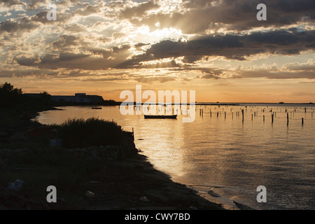 Sunrise nel alfacs Bay, il delta del fiume Ebro, San Carlos de la Rapita, Tarragona, Spagna Foto Stock