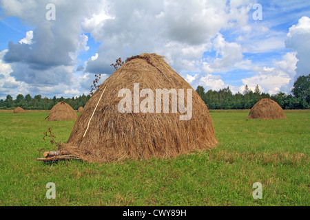 Il fieno di stack sul campo estivo Foto Stock