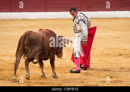 La corrida in Spagna. Il 20 luglio 2012, La Linea de la Concepcion, Spagna. Foto Stock