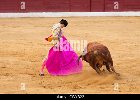 La corrida in Spagna. Il 20 luglio 2012, La Linea de la Concepcion, Spagna. Foto Stock