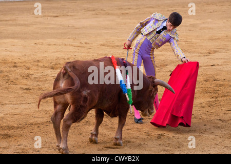 La corrida in Spagna. Il 20 luglio 2012, La Linea de la Concepcion, Spagna. Foto Stock