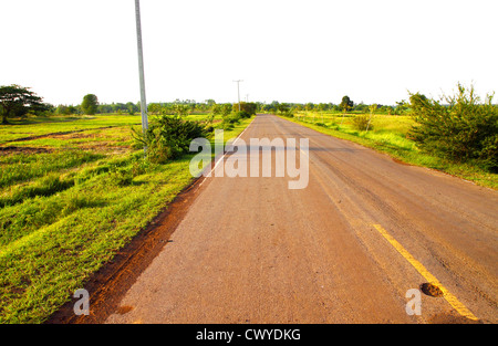 Una strada di campagna che corre attraverso campi verdi, Thailandia Foto Stock