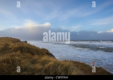 Rotes Kliff, Kampen, Sylt, Schleswig-Holstein, Germania, Europa Foto Stock