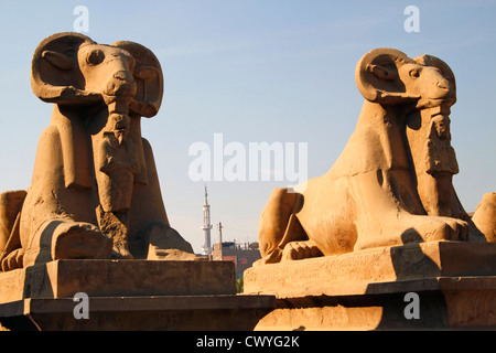 Vicolo di Aries Sphinx all'ingresso del tempio di Karnak, Egitto Foto Stock