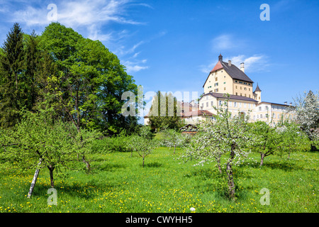 Il castello di Goldenstein con alberi di mele sul prato, Elsbethen, Austria Foto Stock