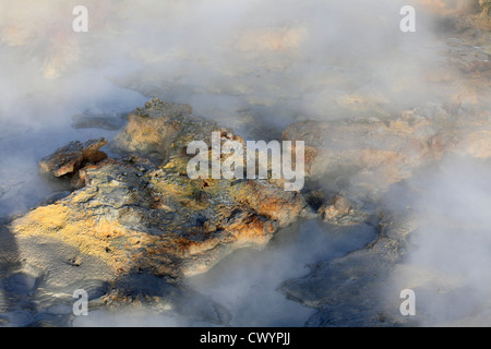 Geyser di vapore ad alta temperatura Gunnuhver area sulla penisola di Reykjanes, Islanda Foto Stock