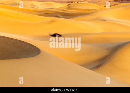 Il vento ha eroso le forme di sabbia nella Valle della Morte Foto Stock