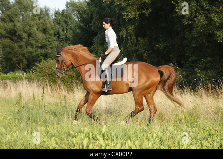 donna di guida Foto Stock