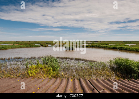 Una vista da nascondere al Minsmere RSPB bird reserve nel Suffolk , Inghilterra , Inghilterra , Regno Unito Foto Stock