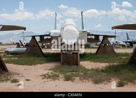 F-15 Eagle aeromobile in deposito presso il 309th aerospaziali e di manutenzione Gruppo di rigenerazione a Davis-Monthan Air Force Base. Foto Stock