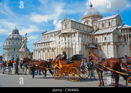 Piazza dei Miracoli (piazza della cattedrale) in Pisa, Toscana, Italia Foto Stock
