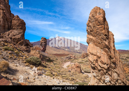 Parco Nazionale di Teide. Tenerife. Isole Canarie Foto Stock