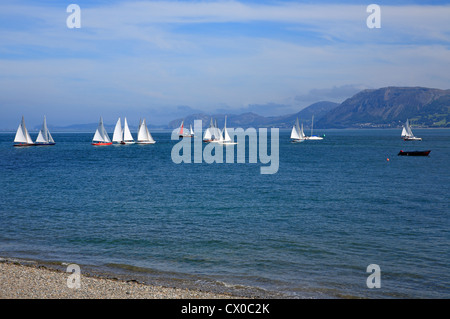 Yachts in Stretto di Menai Isola di Anglesey North Wales UK Regno Unito UE Unione europea EUROPA Foto Stock