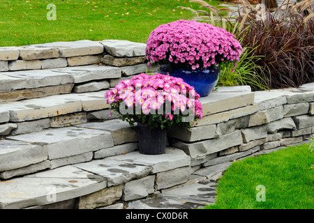 Muro del giardino con vasi di mamme, maggiore Sudbury, Ontario, Canada Foto Stock