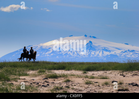 Passeggiate a cavallo sul Longufjordur, ghiacciaio Snaefellsjokull in background Snaefellsnes Peninsula, Islanda Foto Stock