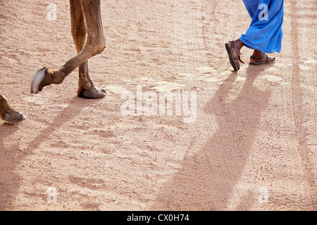 Le gambe di un uomo e un cammello nel deserto di sabbia. Foto Stock