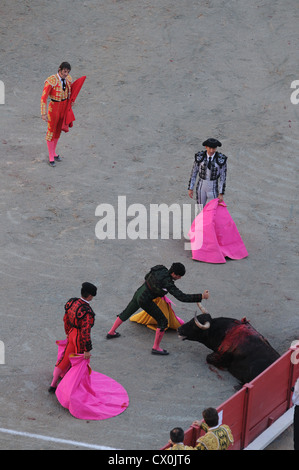 Matador circa per uccidere il toro per pugnalare con pugnale mentre altri banderilleros guarda su Arles Francia Arena Romana Foto Stock