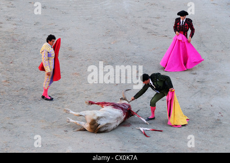 Matador circa per uccidere il toro per pugnalare con pugnale mentre altri banderilleros guarda su Arles Francia Arena Romana Foto Stock