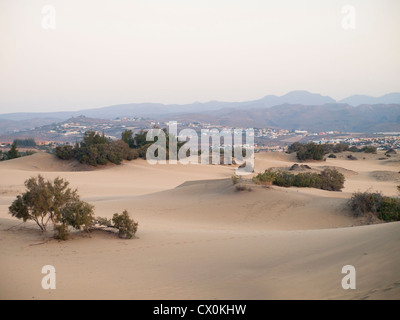 Dune di Maspalomas è una riserva naturale nel centro della località turistica di Gran Canaria,ospita le colline e le montagne sullo sfondo Foto Stock