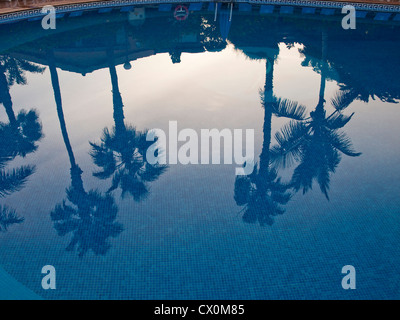 In canarie palme si riflette in una piscina in un resort a Maspalomas Gran Canaria Foto Stock