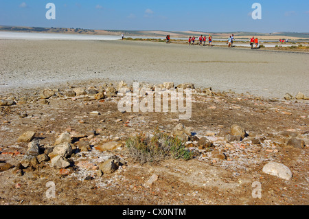 Fuente de Piedra Laguna, provincia di Malaga, Andalusia, Spagna, Europa Foto Stock