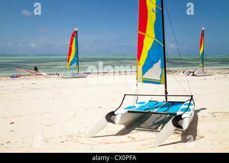 Tre Hobie cat catamarani e windsurf sulla spiaggia di Bwejuu, Zanzibar africa Foto Stock