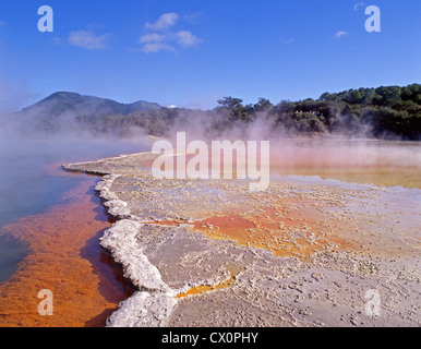 Pool di Champagne, Wai-O-Tapu Thermal Wonderland, Waiotapu, Baia di Planty Regione, Nuova Zelanda Foto Stock