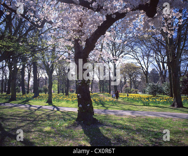 Christchurch Giardini Botanici in primavera, Christchurch, regione di Canterbury, Nuova Zelanda Foto Stock