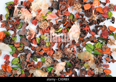 Autunno o caduta in background con colorati fiori secchi, foglie e semi Foto Stock