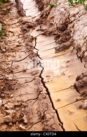 In prossimità di una strada sterrata in superficie con fango, estate, Beckingen / Saar / Germania Foto Stock