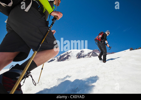 Gli alpinisti sul Muir campo di neve sul Monte Rainier, Washington, Stati Uniti d'America. Foto Stock