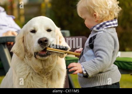 Little Boy lasciando il golden retriever masticare una spazzola Foto Stock