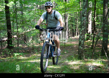 Uomo in mountain bike nella Foresta Foto Stock