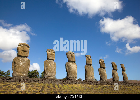 Vista di sette Ahu Akivi Moai, che sono gli unici Moai di faccia al mare, Rapa Nui, Isola di Pasqua, Cile. Foto Stock