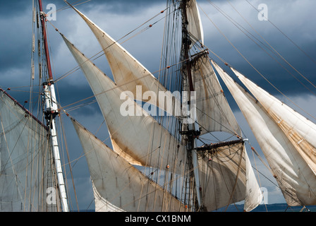 Tall Ship, la nave a vela e la Nave da carico, Brigadine Tres Hombres, due alberi e piazza goletta truccate Foto Stock