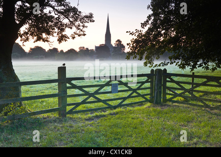 Guardando attraverso il west harnham prati di acqua verso la cattedrale di Salisbury all'alba. Foto Stock