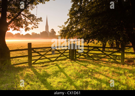 Guardando attraverso il west harnham prati di acqua verso la cattedrale di Salisbury all'alba. Foto Stock